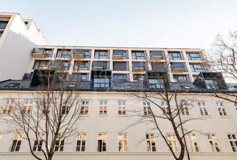 Apartments for rent, Prague 2 – Thámova